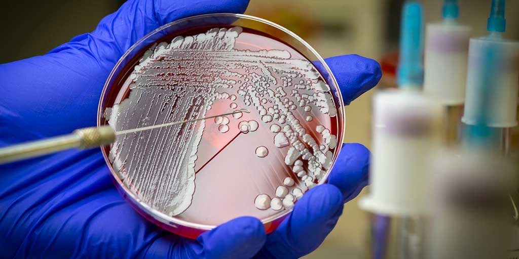 European Bioinformatics Institute featured