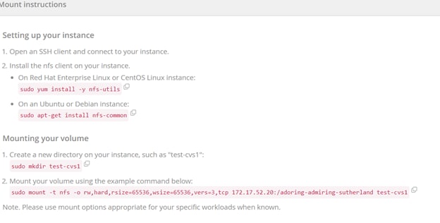 Follow the instructions to mount the volume on a target Amazon Elastic Compute Cloud (Amazon EC2) machine instance.