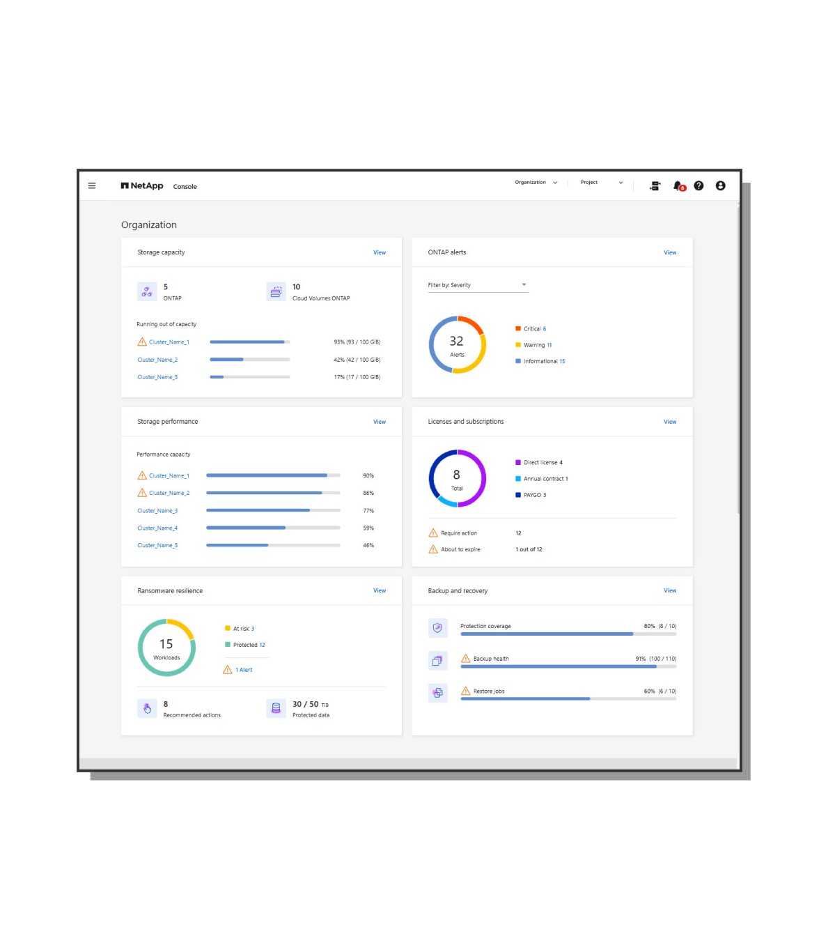 NetApp Console snapshot