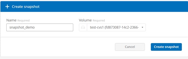 Give a name to the Snapshot copy and click Create Snapshot.