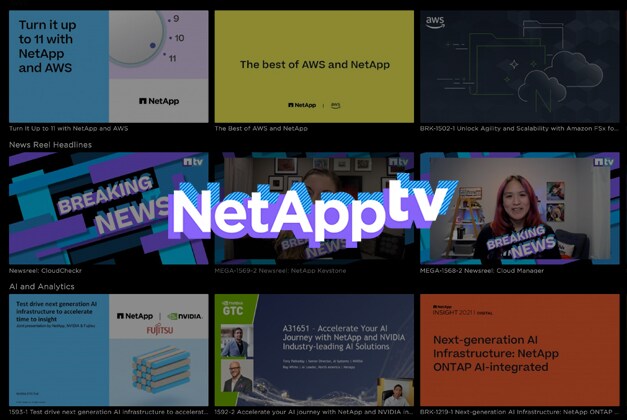 Sé más listo que los hackers del ransomware con la infraestructura de NetApp - Card 4 Image [1iv-7plo]