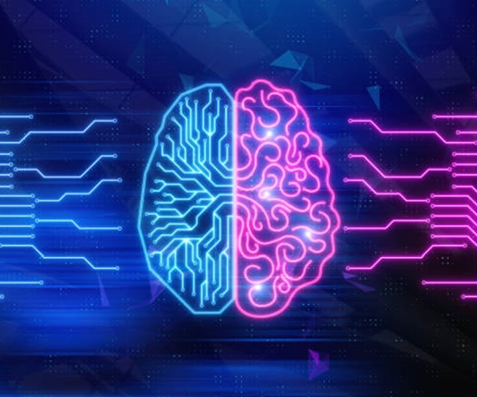Blue and pink drawing of a brain