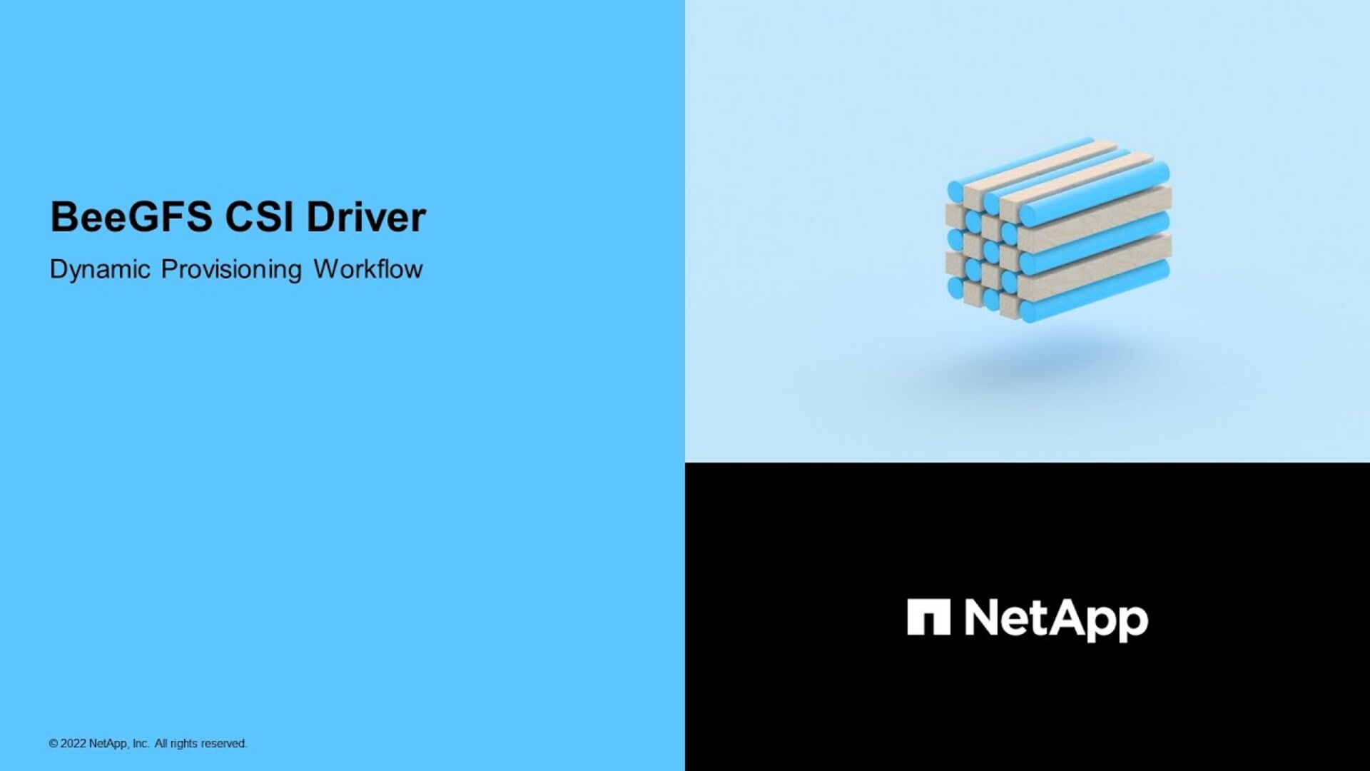 Dynamic provisioning workflow - BeeGFS CSI driver | NetApp Video