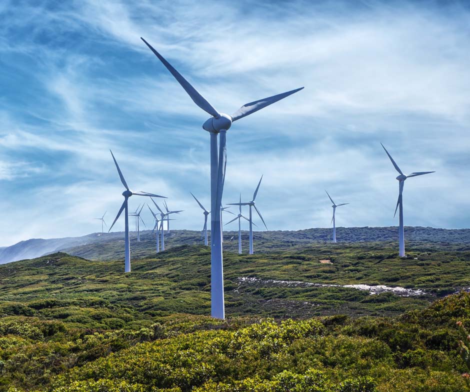 Several Windmills stand above green trees