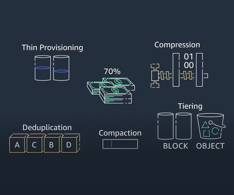 Cloud Volumes ONTAP for AWS - Side by Side Image