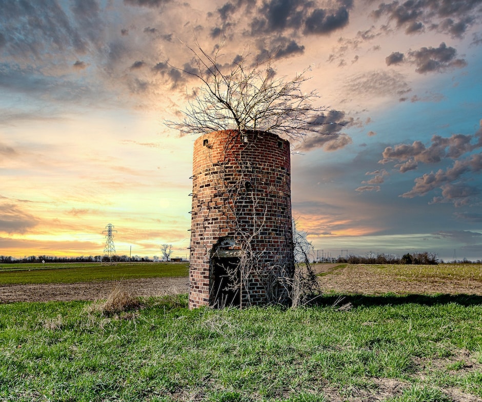 dry tree emerging from abandon cylindrical shape building