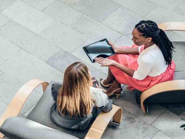 como funciona berlitz