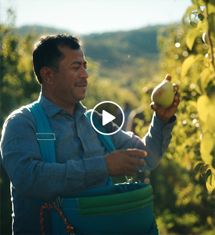 24 026 151 HD Time Trad Dig Pears15 Other G0 M1 A0