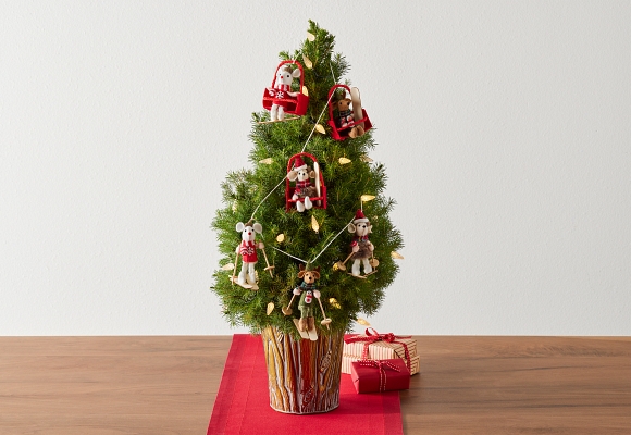 Christmas Flowers & Plants