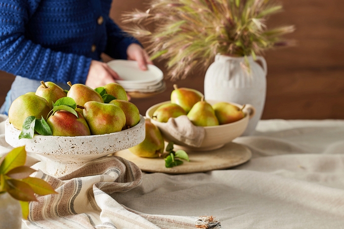Harvest Report Banner