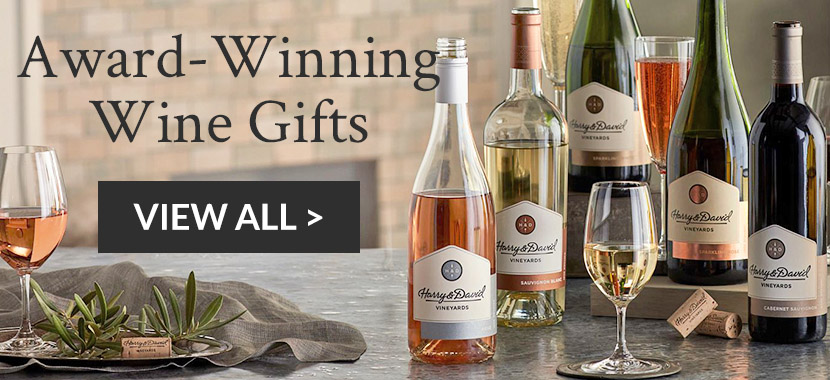 Wine Gifts: Best Gift Ideas for Wine Lovers