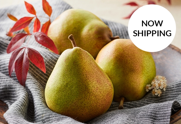 Royal Riviera® Pears