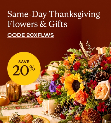 NTL Thanksgiving Promo