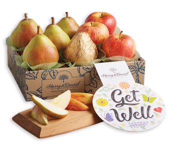 Get Well Gifts Get Well Soon Gift Baskets Harry David