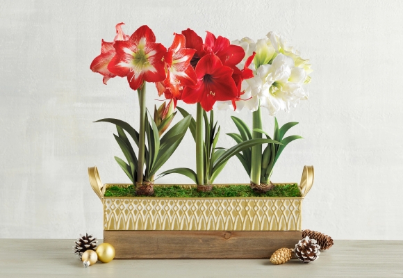 Bestselling Floral Gifts