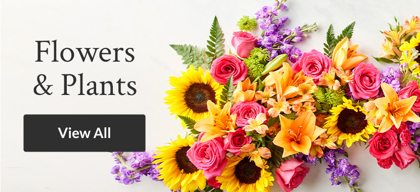 Online Flower Delivery in Pune & Mumbai | Pune Florist Shamuns Flowers