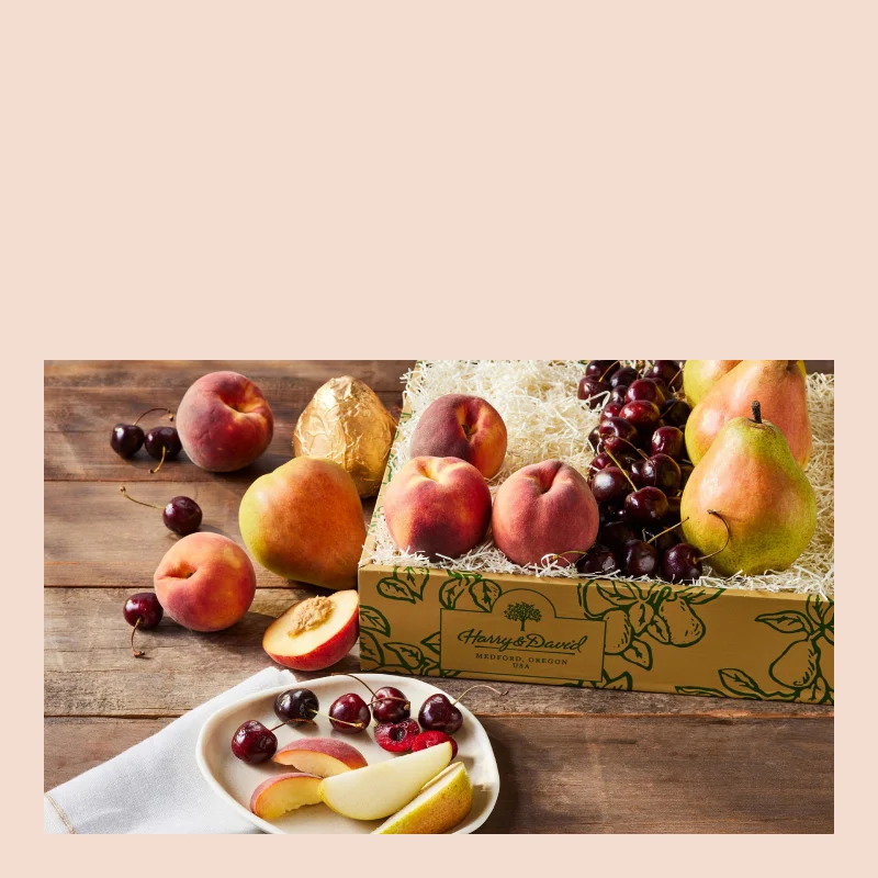 Mobile 800x800 Summer Harvest Sale hero background with peaches, cherries, and pears for Harry & David.
