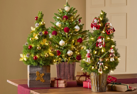 Christmas Flowers & Plants