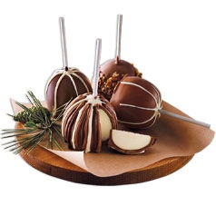 210429-Chocolates&Sweets-ChocolateFruit-Silo.jpg