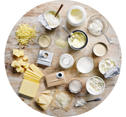 Different types of cheese on a white surface