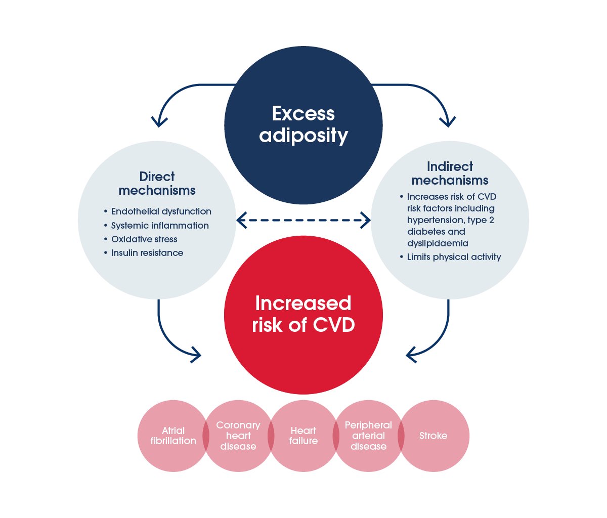 Obesity and cardiovascular disease consensus statement | Heart Foundation