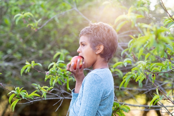 A young girl enjoying a sunlit moment as she savors a fresh apple, relishing its taste and the warmth of the sun on her face.