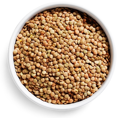 dried green lentils