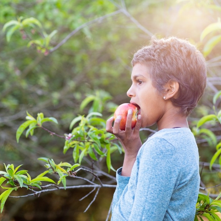 A young First Nations girl on a sunny day outdoors eating an apple