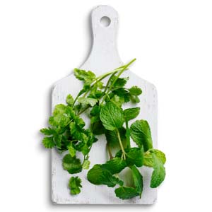 Fresh mint and coriander leaves