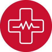 icon with cross and heart beat