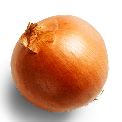 large onion