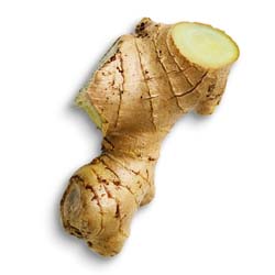 Ginger