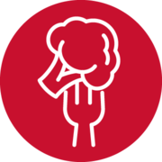 Icon representing Heart Heathly Dinner Plans