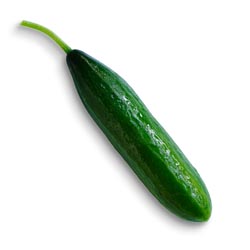 Cucumber