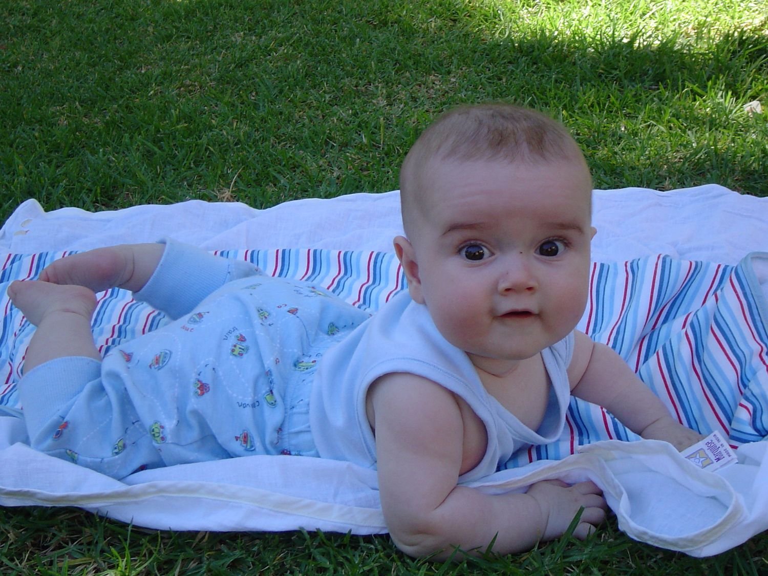 INFANT program