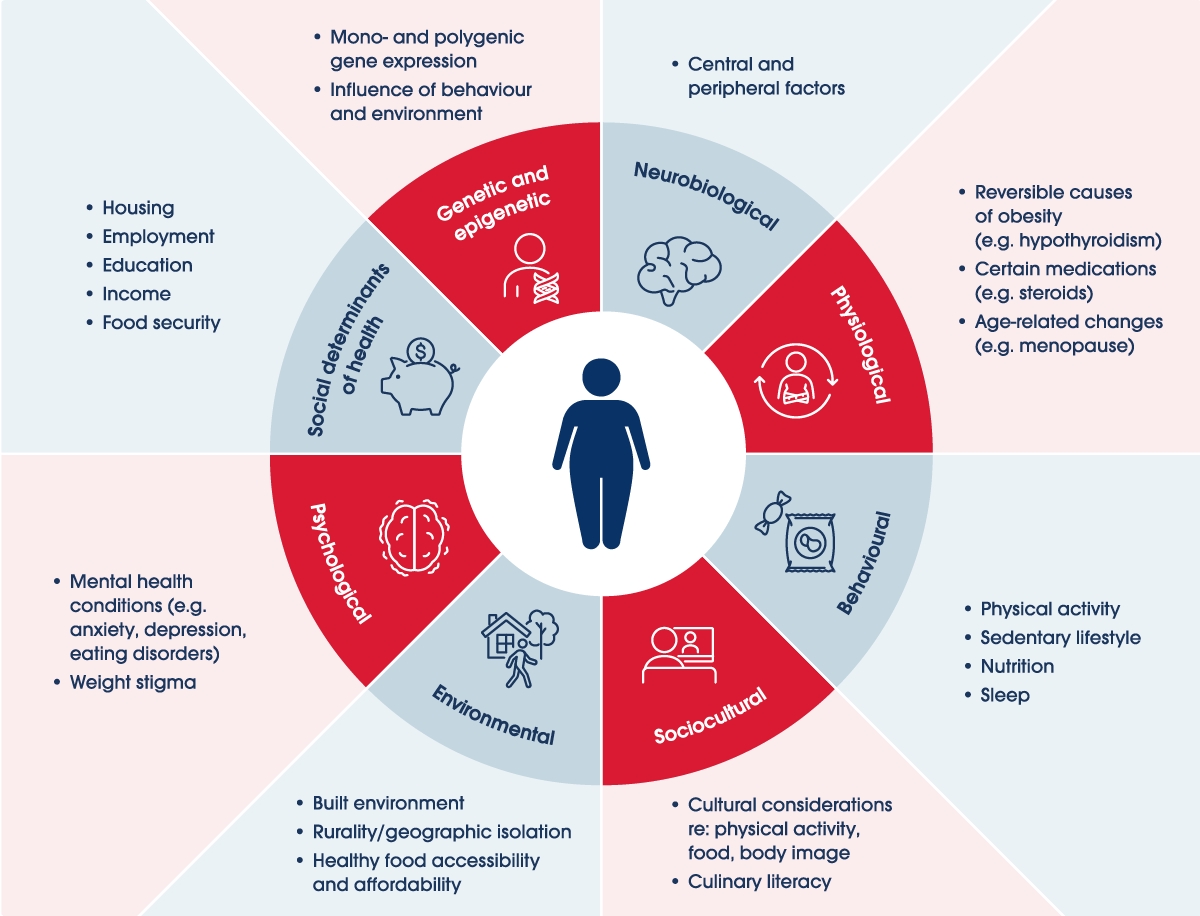 Figure 2: Multifactorial aetiologies of obesity