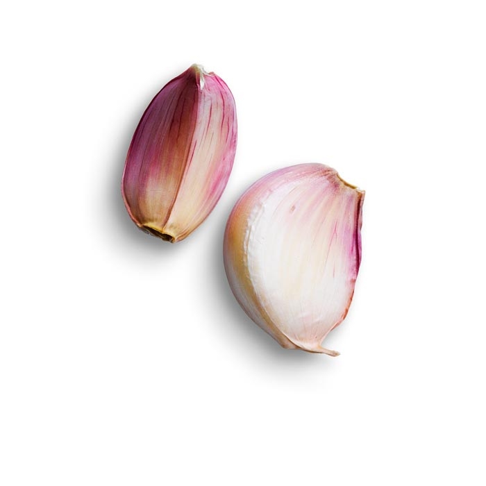 garlic