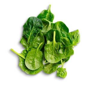 Baby spinach leaves