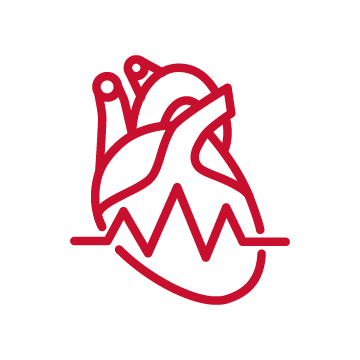 Icon of a human heart with an ECG heartbeat line