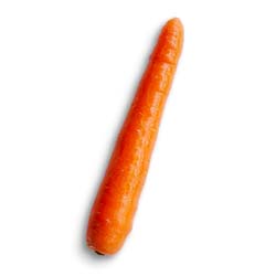 Carrot
