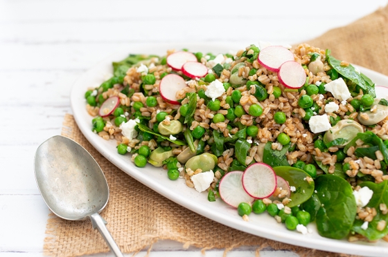 A plate of farro salad topped with radishes, peas, and feta cheese