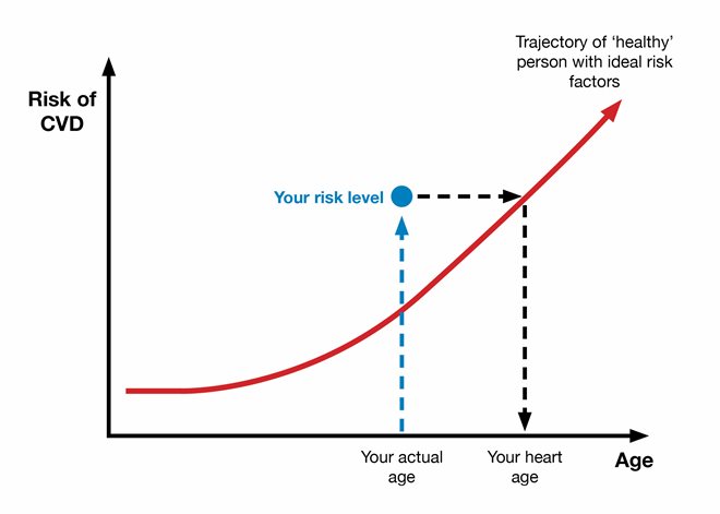 This figure is an example of someone with a higher heart age than their actual age.