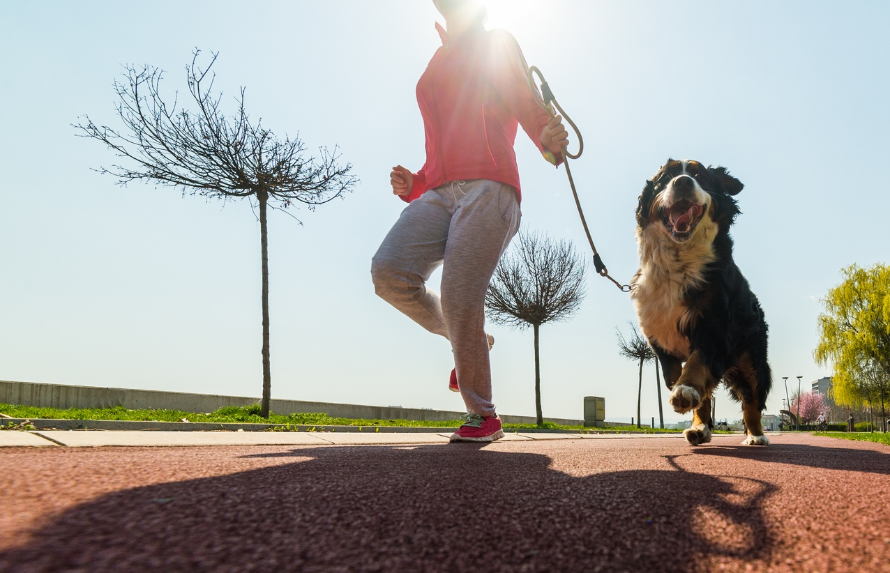 A woman joyfully runs alongside her dog on a sunny day, both enjoying the outdoors and the warmth of the sun.