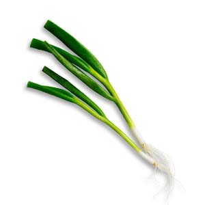 Spring onions