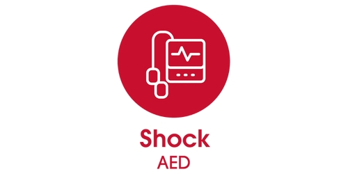 An icon of a heart receiving a defibrillator shock