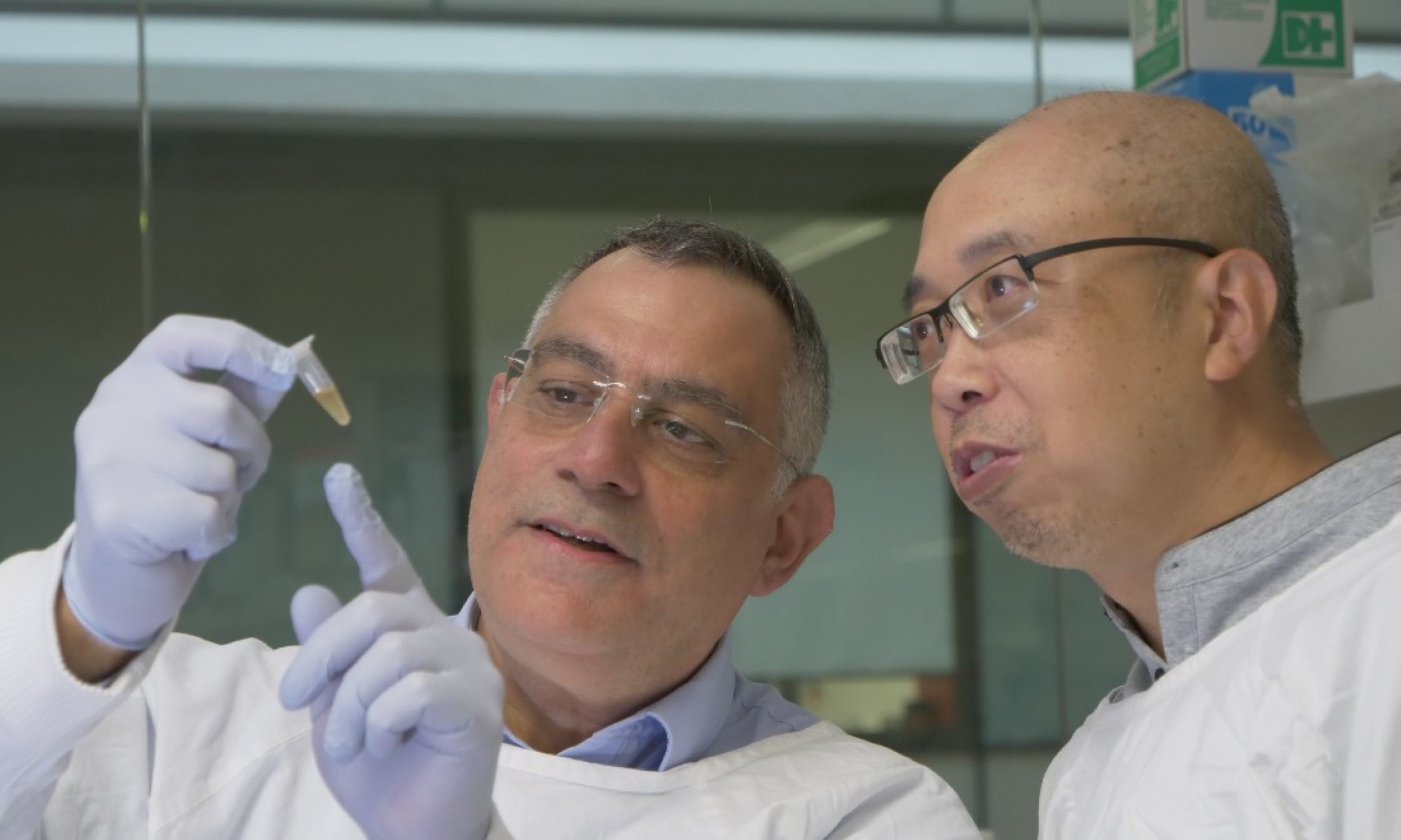 Professor Levon Khachigian in the lab looking at a test tube with a colleague