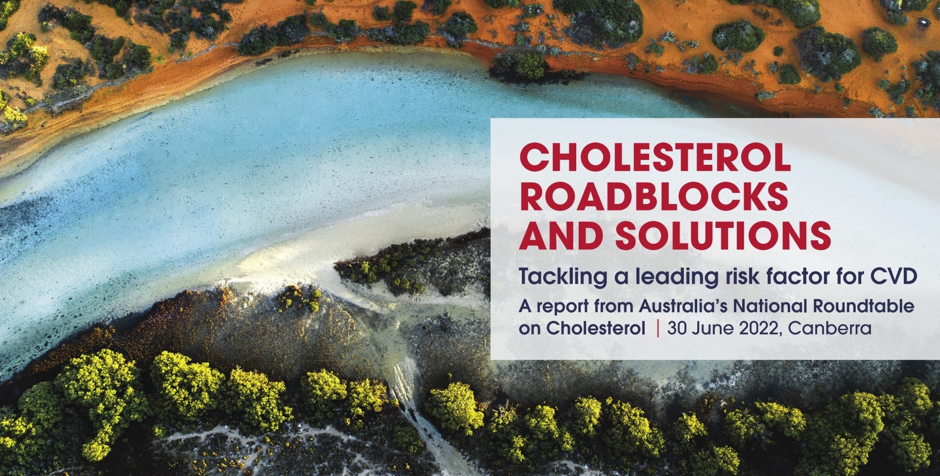 A banner of cholesterol roadblocks and solutions