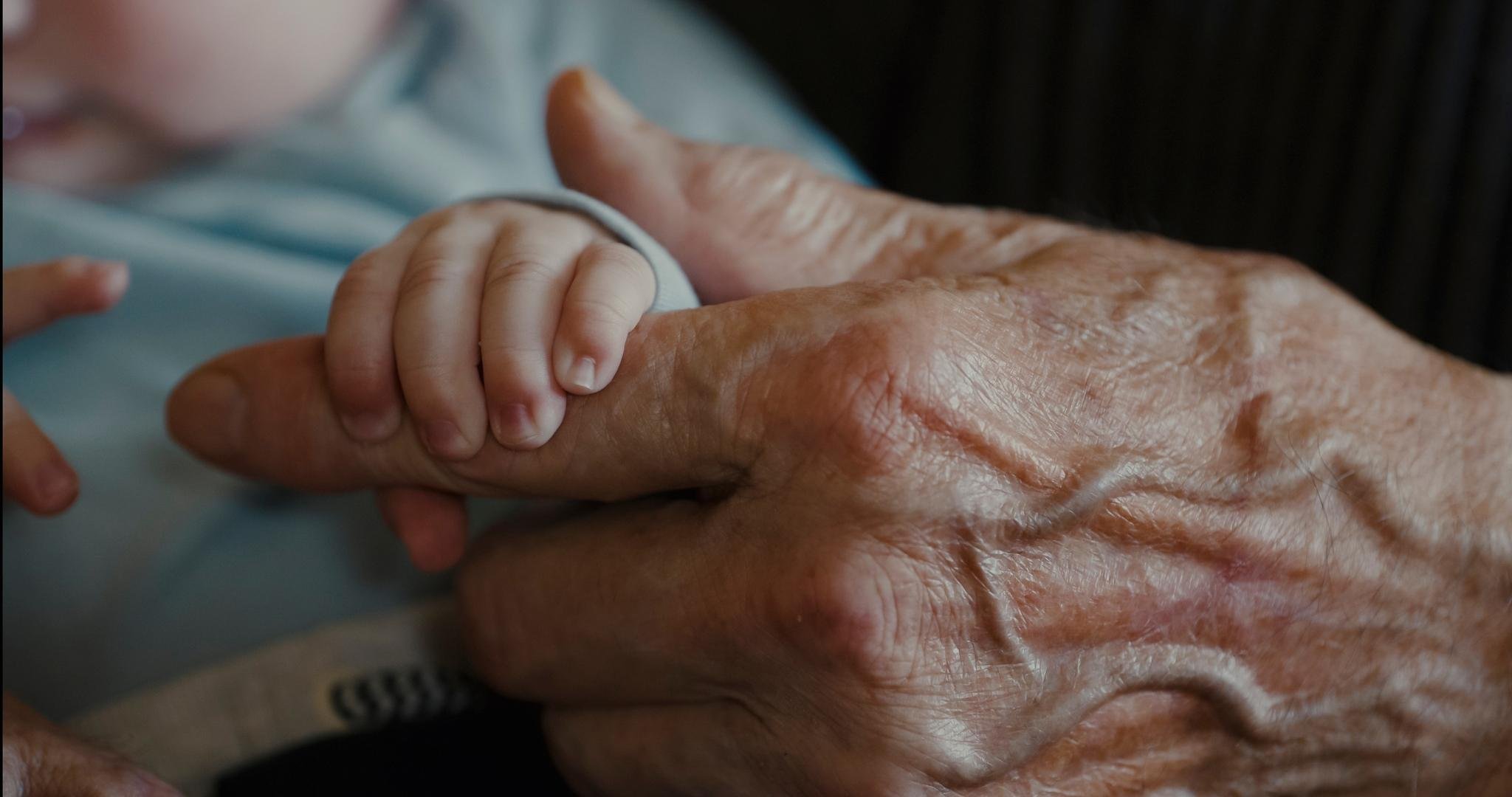 An elderly person's hand holding a baby's tiny hand