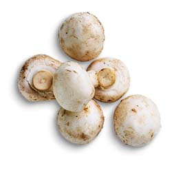 Mushrooms