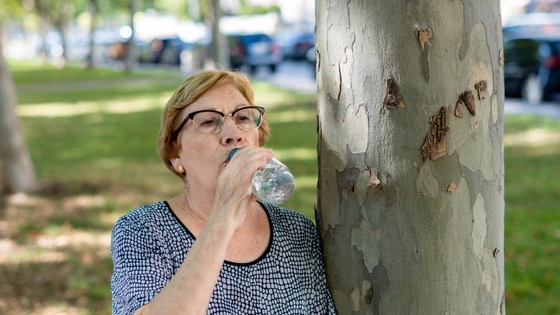 An older woman drinking water from a plastic bottle, leaning on a tree in the shade